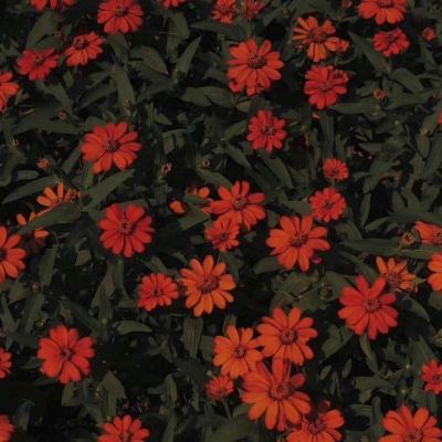 亚博·yabo下载手机版